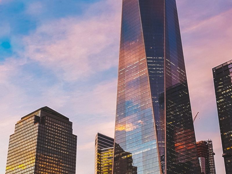 Puppies of Wallstreet – Konsumgewohnheiten unter der Lupe